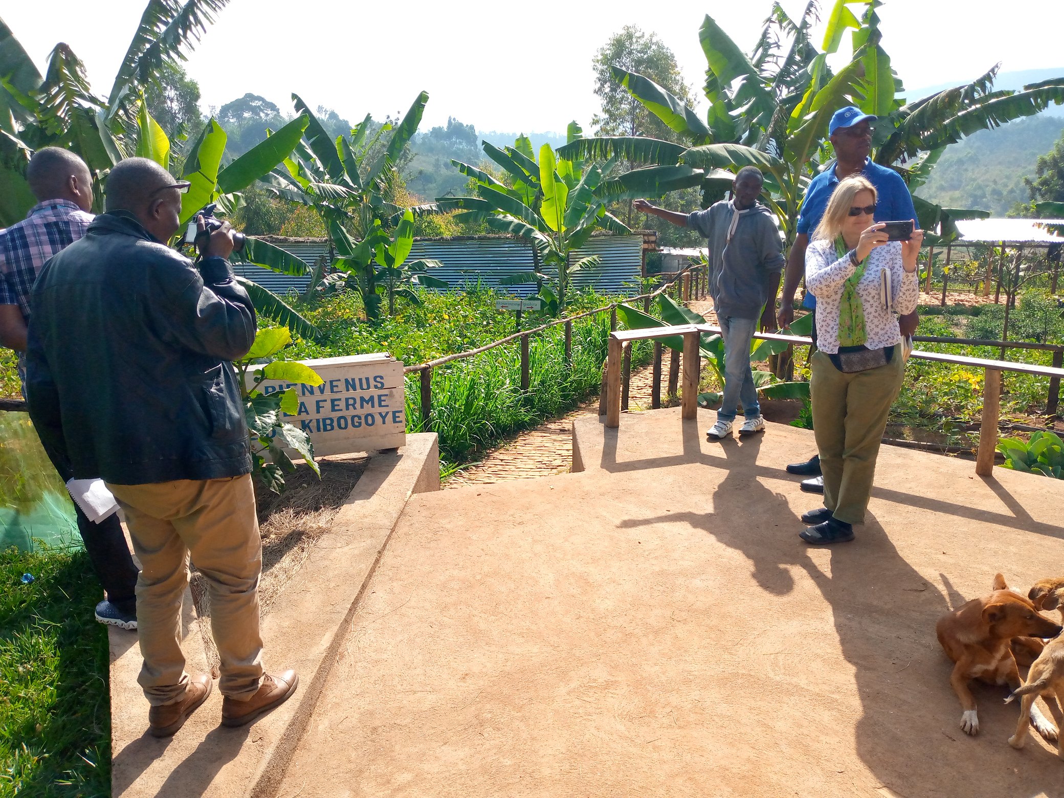 bdi burundi economiefao 04 09062022 maisondufermier