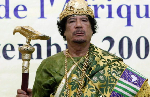 Burundi – Afrique : Pas d’ASF, l’ UE – OTAN – AFRICOM entre en jeu au Kivu / RDC