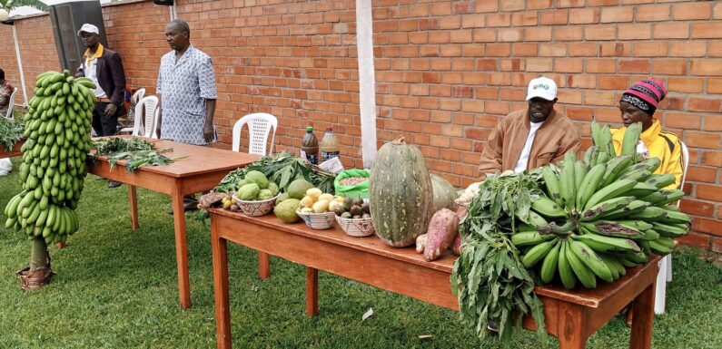 Burundi : ADISCO présente ses pratiques agroécologiques à Ngozi