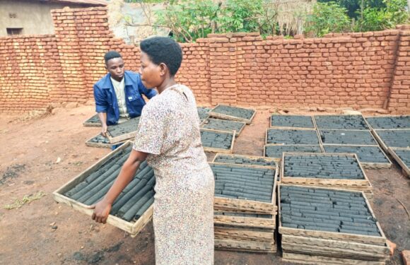 Burundi : Une coopérative produit du charbon écologique à Rugombo / Cibitoke