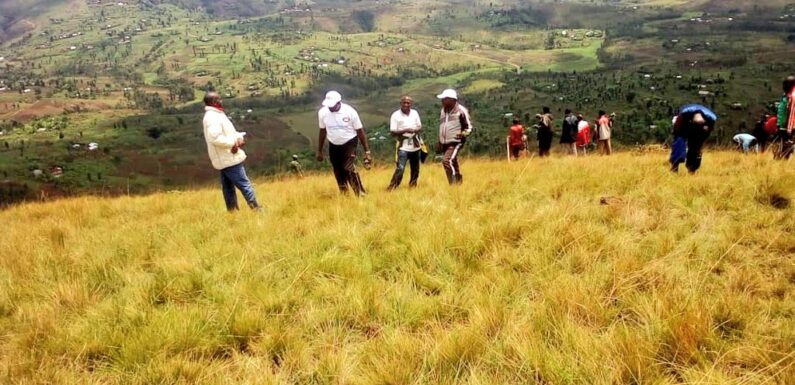 Burundi : TDC – 3000 plants d’arbres d’eucalyptus plantés à Rutovu / Bururi