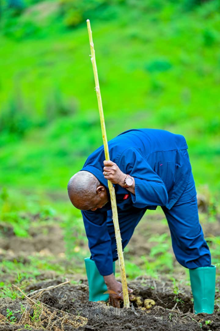 bdi burundi cibitoke centremwokora 00 23012023 ntarerushatsihouse