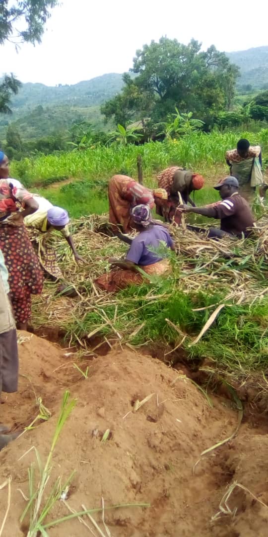 bdi burundi eleveursdebusuma 03 23012023 jimbere