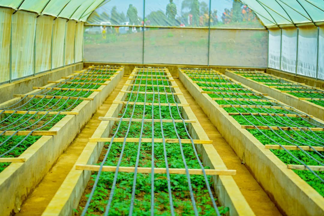 bdi burundi kayanza 002 23012023 provincekayanza