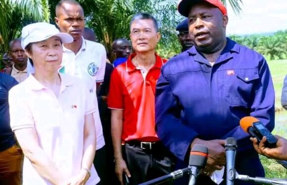 Burundi / chine : Nouvelle méthode pour cultiver le riz hybride sur les collines / Bubanza