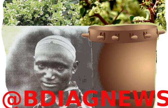 Burundi : La dynastie des Mukakaryenda – De Inakibindigiri  jusqu’à Ruburisoni