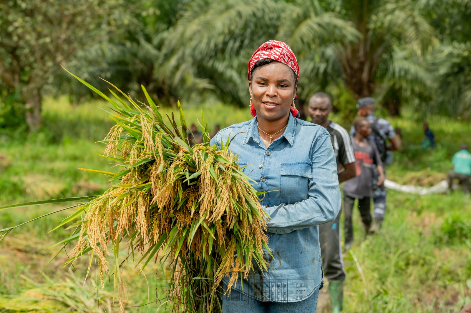 bdi burundi premierdame bujumbura 01 24042023 ntarerushatsihouse