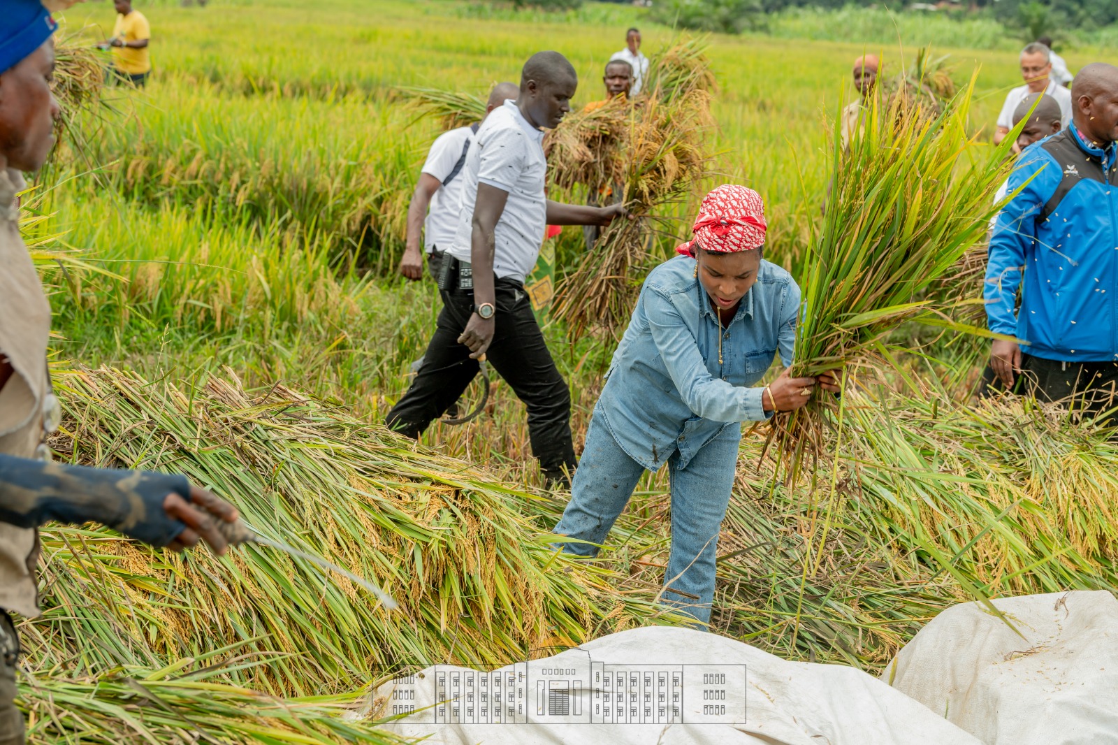 bdi burundi premierdame bujumbura 03 24042023 ntarerushatsihouse