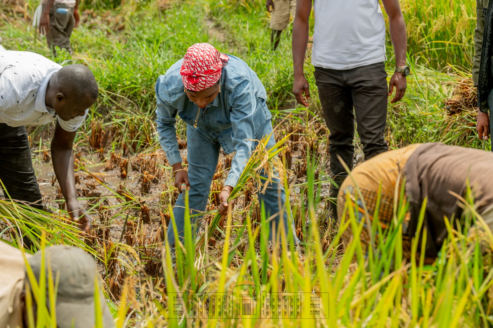 bdi burundi premierdame bujumbura 04 24042023 ntarerushatsihouse
