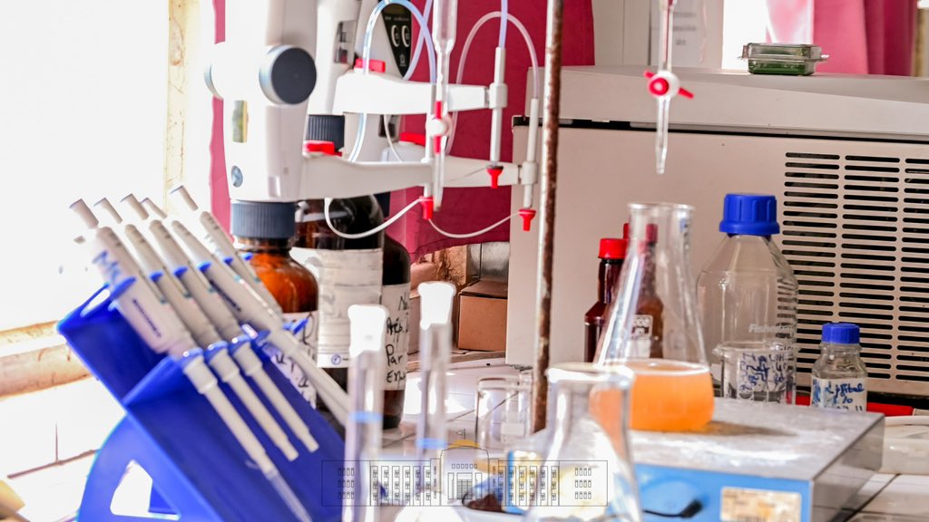 bdi burundi bujumbura 04 14062023 ntarerushatsihouse