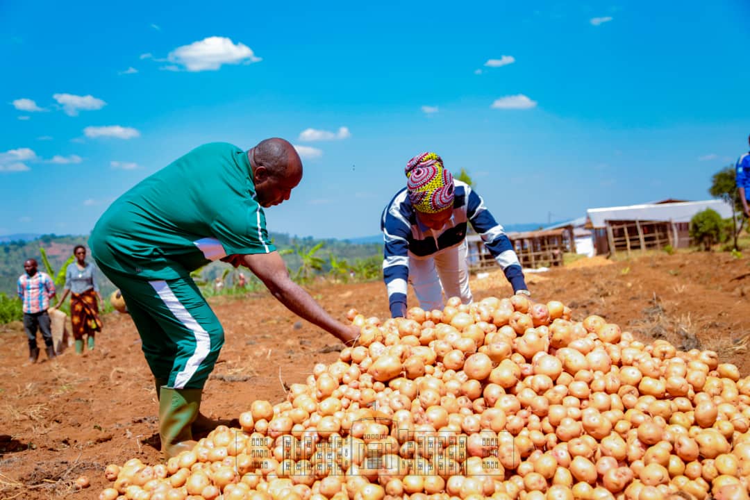 bdi burundi bugendana gitega 01 5072023 ntarerushatsihouse