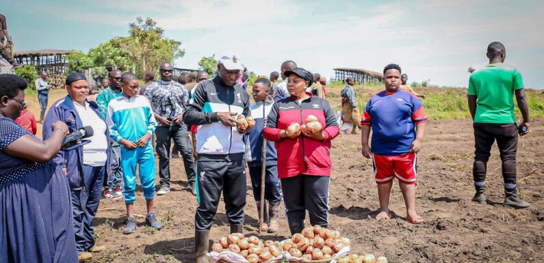 Burundi : Le Premier Ministre récolte des pommes de terre à Kayanza
