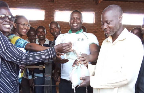 Burundi : La Collaboration développe l’agriculture à Bwambarangwe / Kirundo