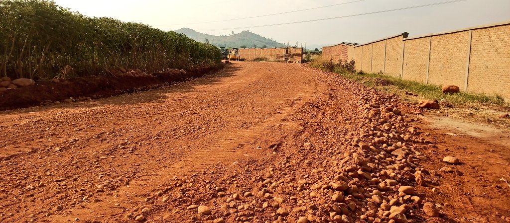 bdi burundi cibitoke 2 14072023 provincecibitoke