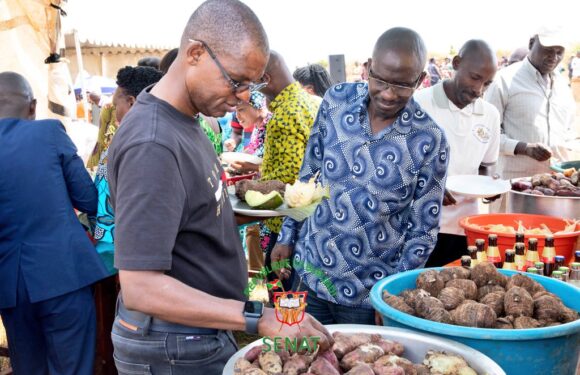 Burundi : Hon. Sinzohagera à fête communale 2023 à Isare