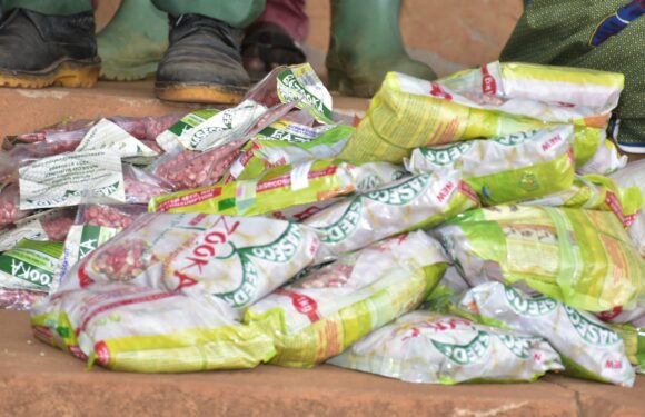 Burundi : L’impact de l’économie de marché sur la souveraineté alimentaire