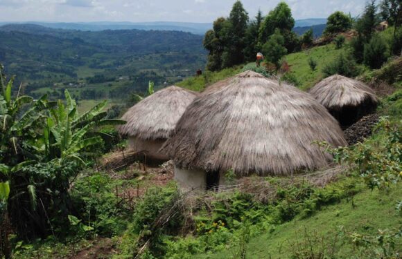 Burundi : 3 suspects arrêtés pour l’incendie d’une étable à Vyanda