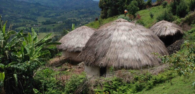 Burundi : 3 suspects arrêtés pour l’incendie d’une étable à Vyanda