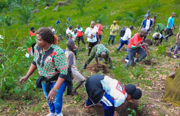Burundi : Le CNDD-FDD impulse la redynamisation caféicole à Bujumbura