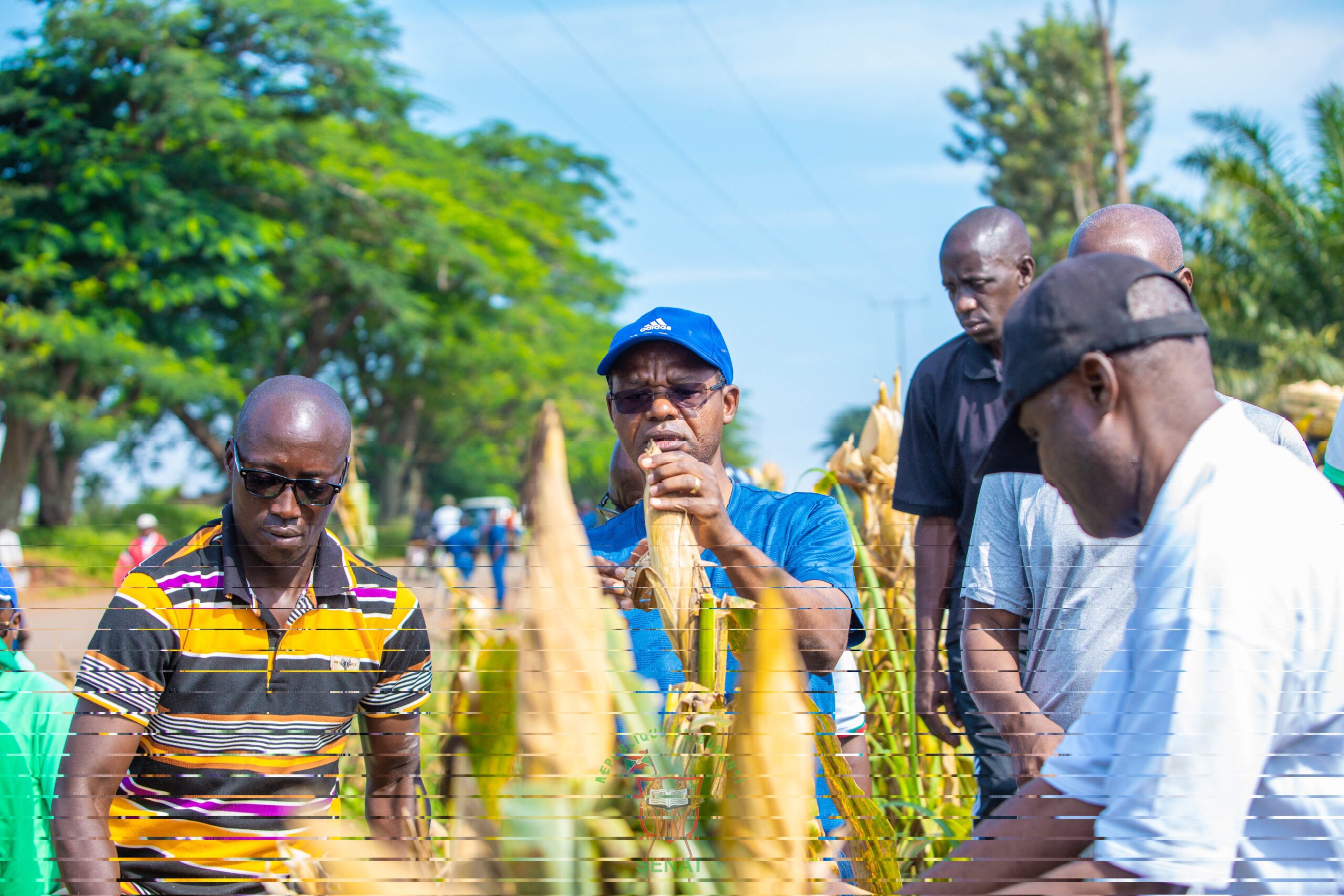 bdi burundi agricole 04 12022024 provincecibitoke