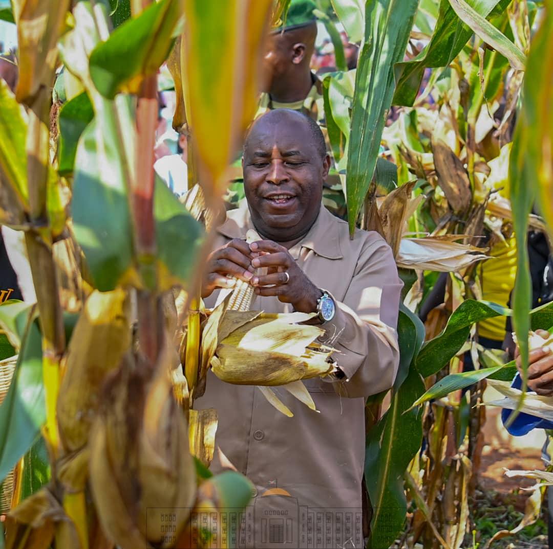 bdi burundi mais 01 10022024 ntarerushatsihouse