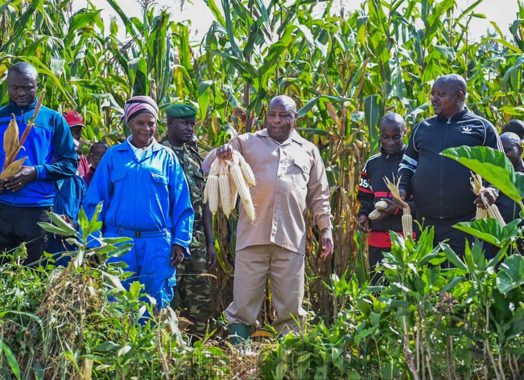 bdi burundi mais 02 10022024 ntarerushatsihouse