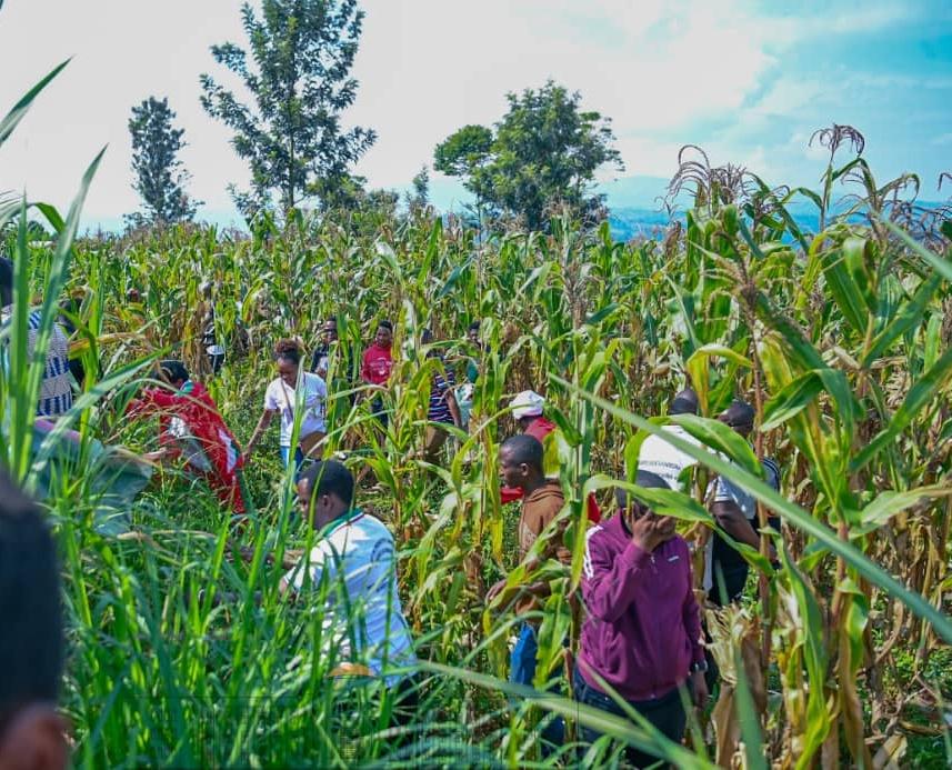 bdi burundi mais 04 10022024 ntarerushatsihouse