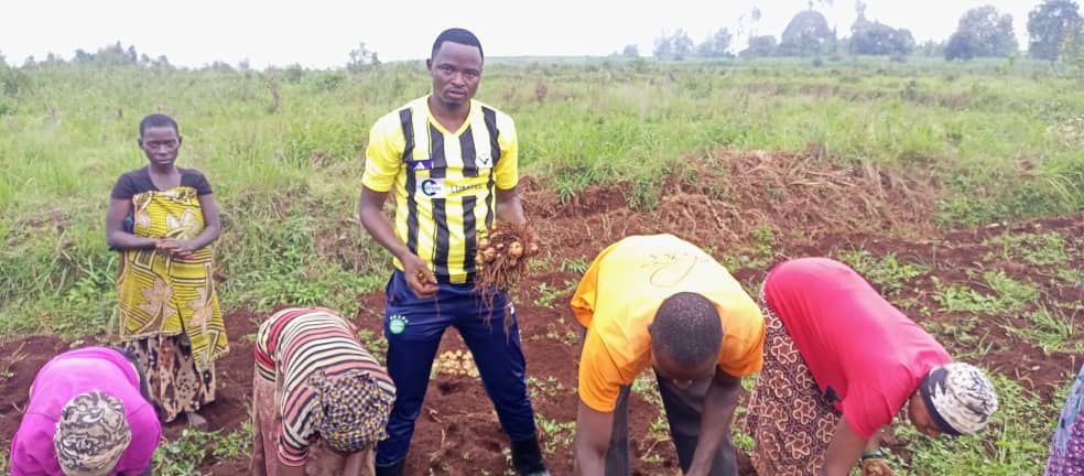 bdi burundi pommedeterre 02 0602024 cnddfddcommunengozi