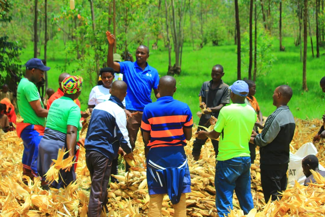 bdi burundi ngozi 003 02032024 cnddfddcommunengozi