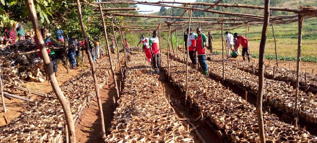 bdi burundi cnddfdd 3 22062024 cnddfddbutanyerera