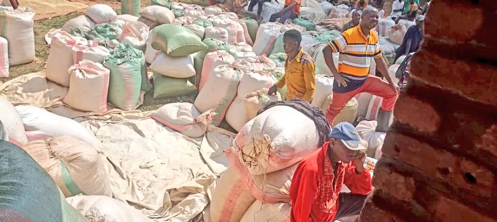 bdi burundi culturemais 02 16062024 abp