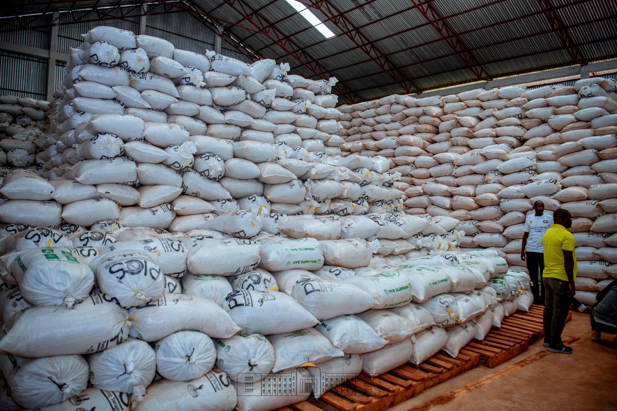 bdi burundi ngozi maïs 2 17062024 ntarerushatsihouse