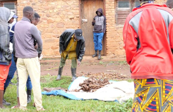 Burundi : La CVR exhume 7 corps d’individus tués en 1993 à Makebuko, Gitega