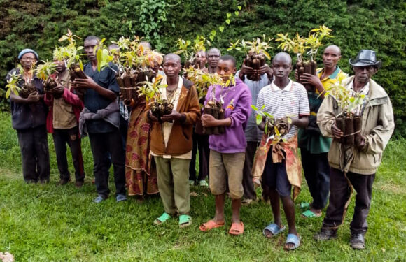 Burundi : JGI et 3C soutiennent les habitants et la biodiversité à Bururi.