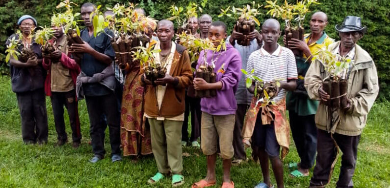 Burundi : JGI et 3C soutiennent les habitants et la biodiversité à Bururi.