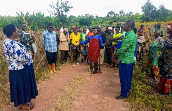 Burundi : One Acre Fund Tubura un soutien pour les agriculteurs à Muyinga, Buhumuza