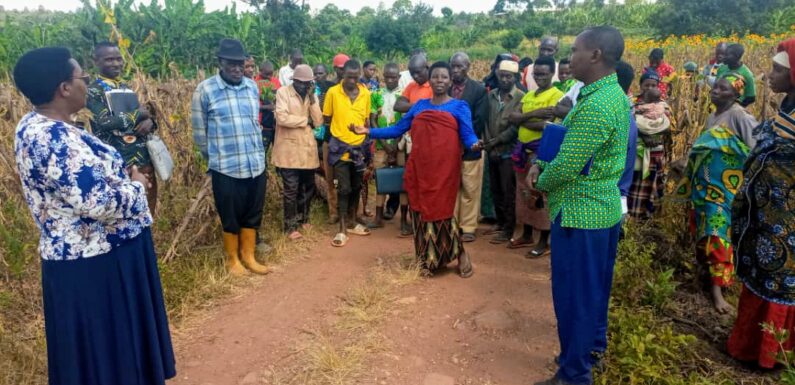Burundi : One Acre Fund Tubura un soutien pour les agriculteurs à Muyinga, Buhumuza