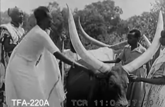 Burundi, Rwanda, RDC : “L’outil raciste géopolitique colonial du conflit interethnique Hutu – Tutsi” de 1911