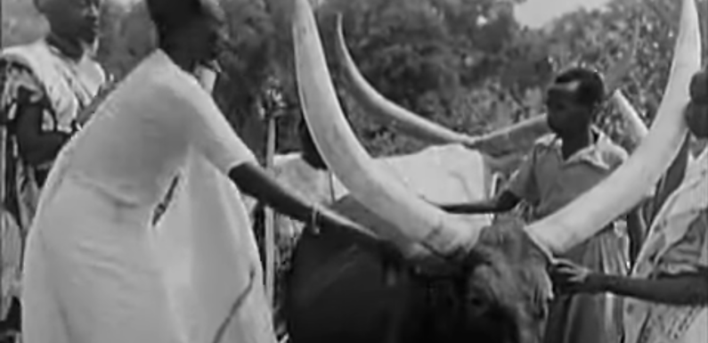 Burundi, Rwanda, RDC : “L’outil raciste géopolitique colonial du conflit interethnique Hutu – Tutsi” de 1911