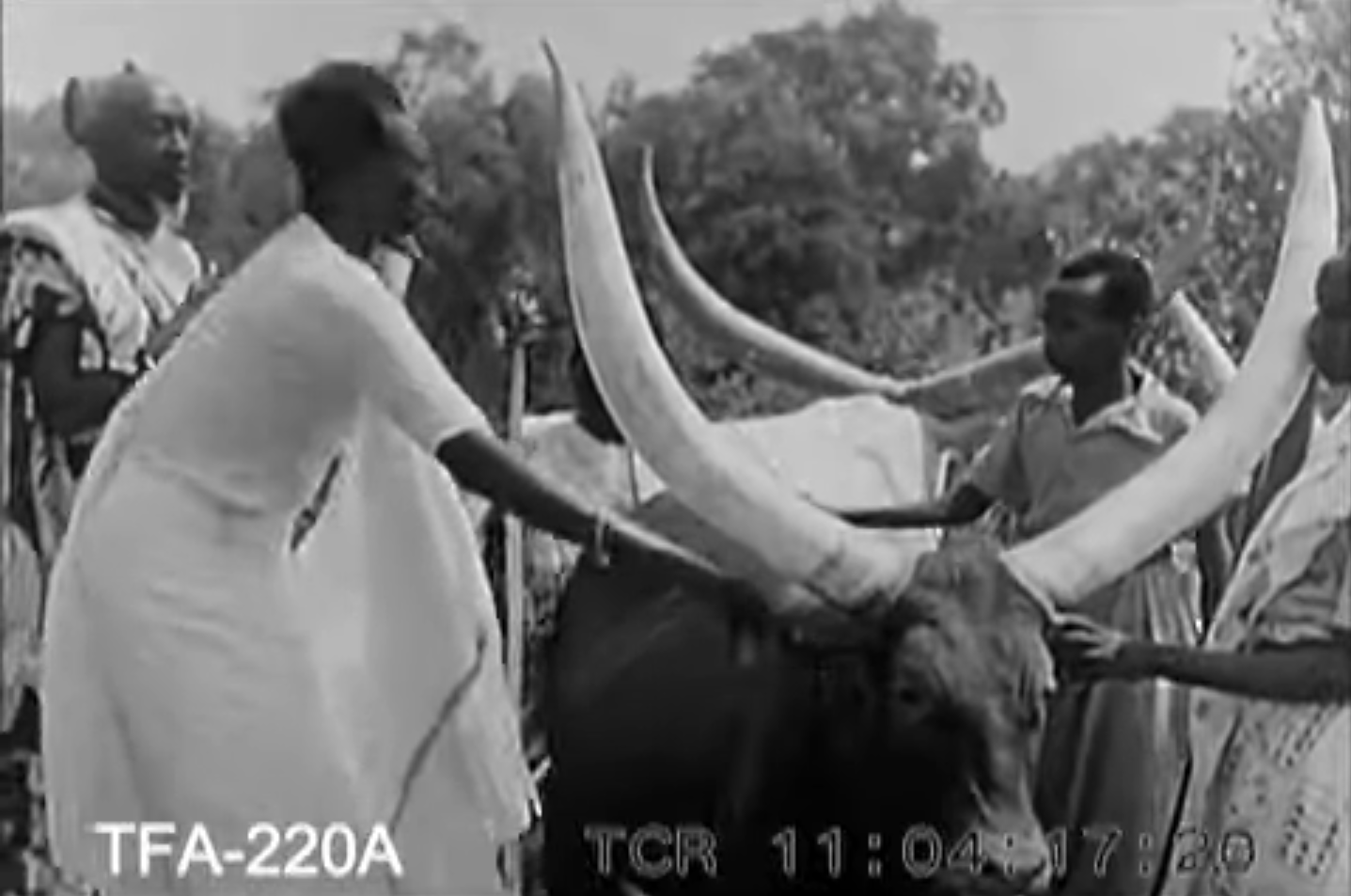 bdi burundi rwanda raciste tutsi011939 01