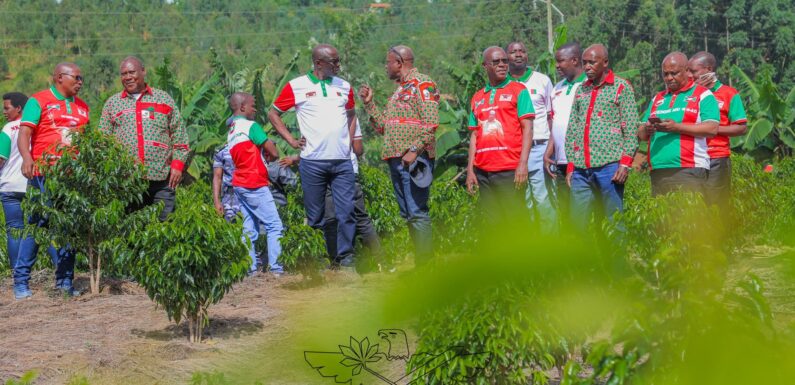 Burundi : Ndikuriyo Révérien amaze kugendera amakomine 15 mu minsi 20