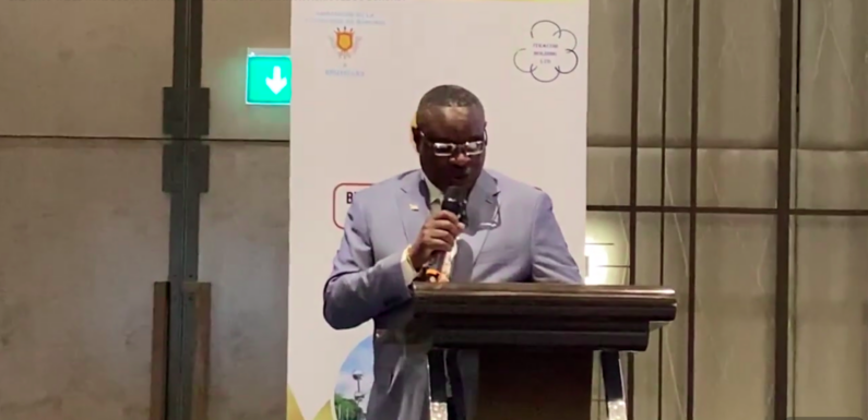 Burundi , Uburundi / Ububiligi : Bruxelles yakiriye ikiganiro co ku rwego rwo hejuru ku guhindura uburimyi mu buryo burama