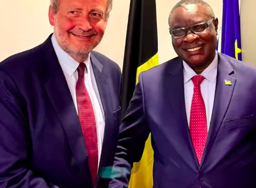 Burundi / Diplomatie – Belgique : Ntahiraja Thérence renforce ses contacts à Bruxelles