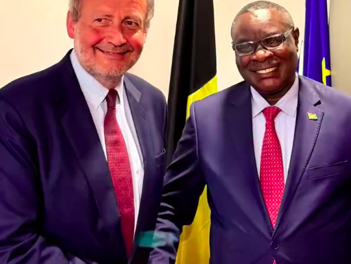 Burundi / Diplomatie – Belgique : Ntahiraja Thérence renforce ses contacts à Bruxelles