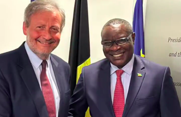 Burundi , Uburundi / Dipolomasi – Ububiligi : Ntahiraja Thérence akomeza gutsimbataza imigenderanire i Bruxelles