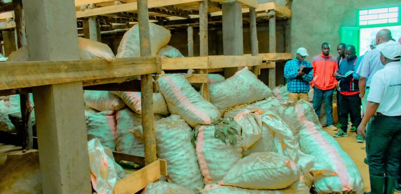 Burundi : Mission conjointe Gouvernement–IFDC à Kayanza et Ngozi
