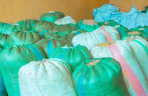 Burundi, Uburundi : Intumwa zishinzwe gukurikirana ibikorwa vya Reta n’IFDC zagendeye Kayanza na Ngozi