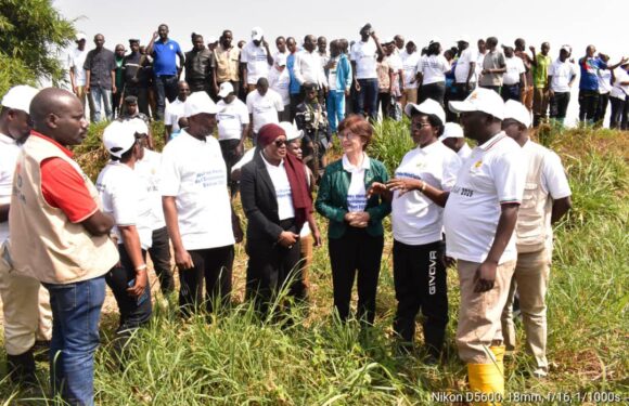 Burundi : Des bambous pour protéger la Malagarazi, héritage de l’Ubungoma