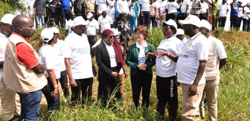 Burundi : Des bambous pour protéger la Malagarazi, héritage de l’Ubungoma