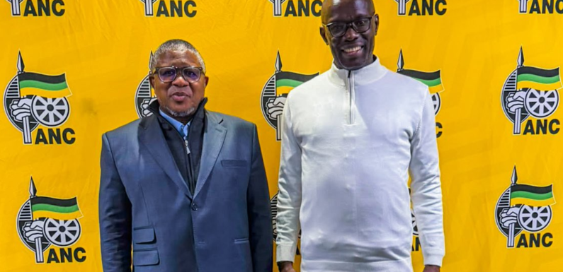 Burundi / Afrique du Sud : l’ANC reçoit le CNDD-FDD